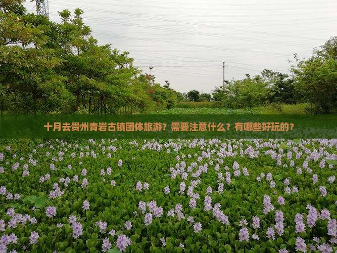 十月到贵州青岩古镇团体旅游 十月到贵州青岩古镇团体旅游