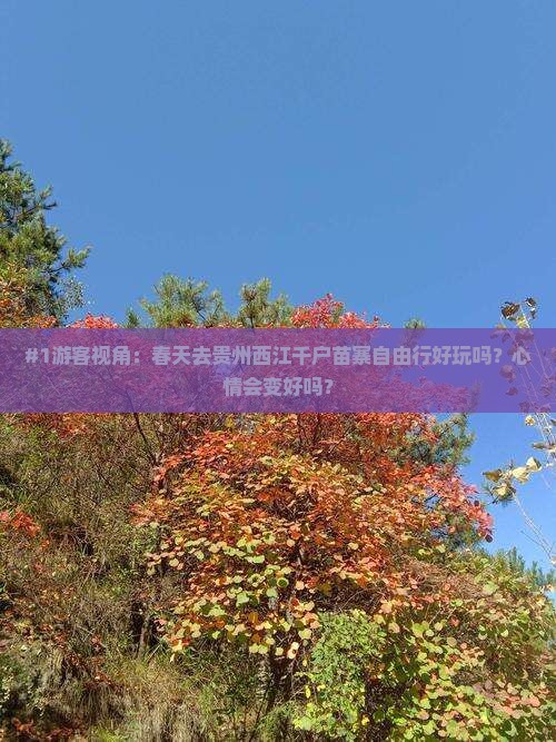春天到贵州西江千户苗寨自由行