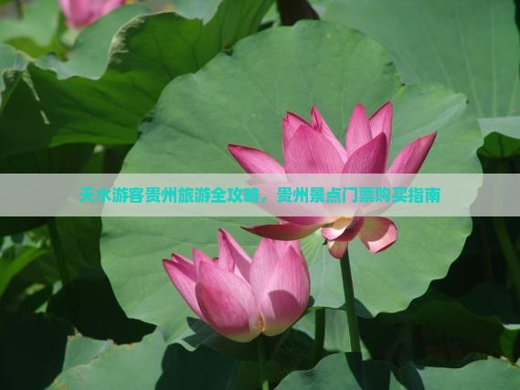 天水去贵州门票