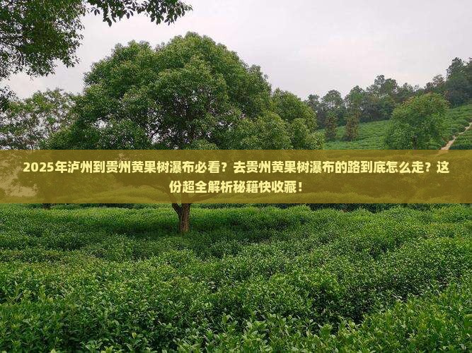 泸州去贵州黄果树瀑布必去地