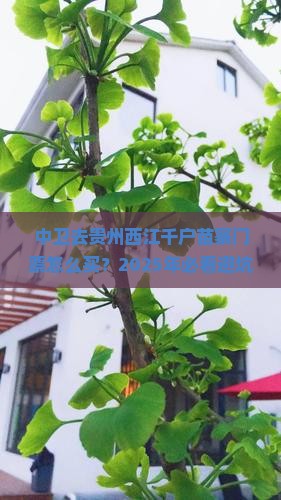 中卫去贵州西江千户苗寨门票