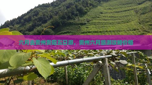 六月去贵州贵阳五日游