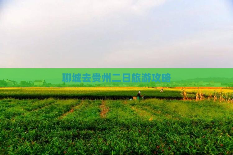 聊城去贵州二日游