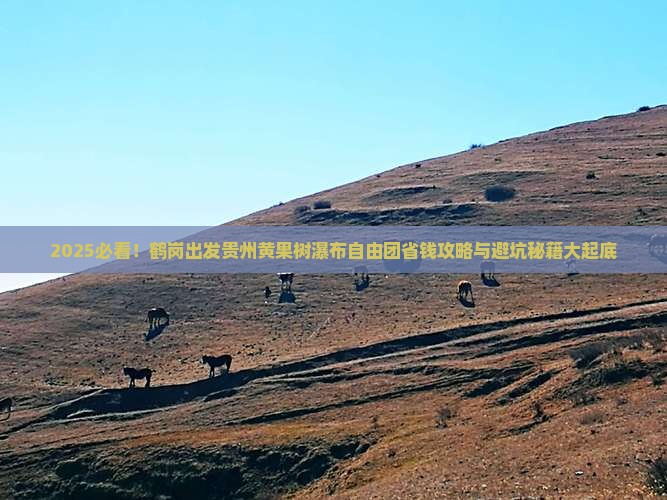 鹤岗去贵州黄果树瀑布自由团