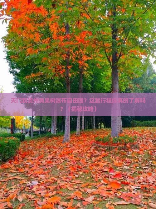 天门到贵州黄果树瀑布自由团