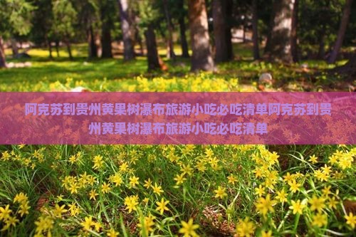 阿克苏到贵州黄果树瀑布旅游小吃