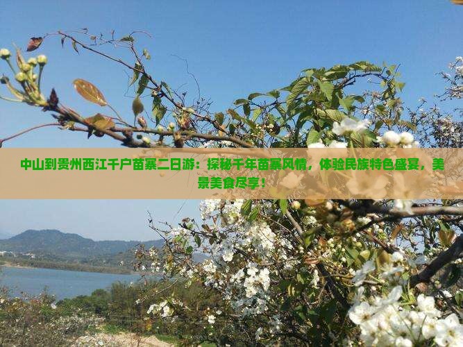 中山到贵州西江千户苗寨二日游
