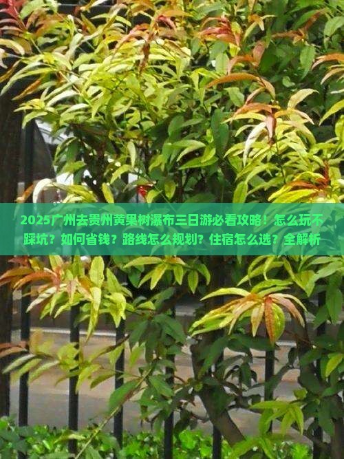 广州去贵州黄果树瀑布三日游 广州去贵州黄果树瀑布三日游