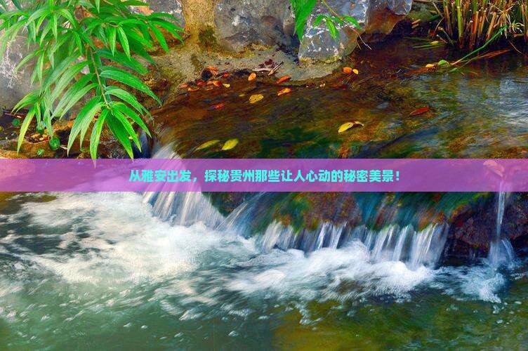雅安到贵州景点