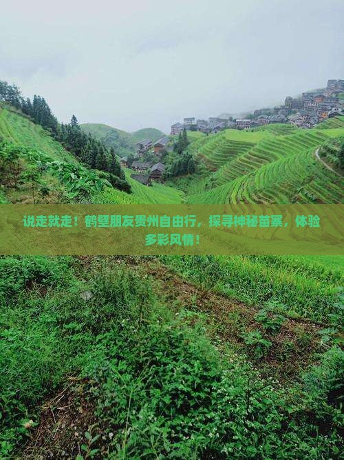 鹤壁去贵州自由团