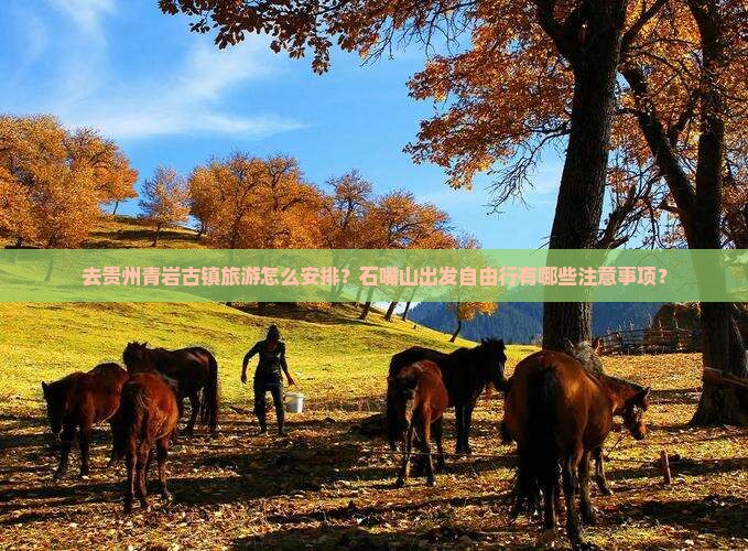 石嘴山去贵州青岩古镇自由团