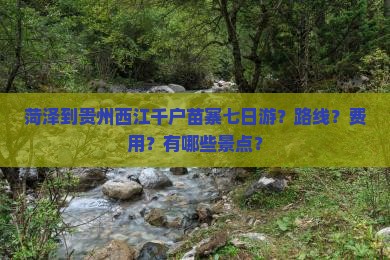 菏泽到贵州西江千户苗寨七日游