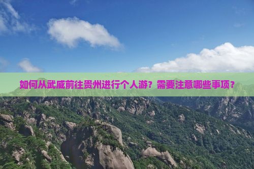 武威去贵州个人游