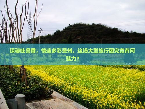 吐鲁番到贵州大型旅游团