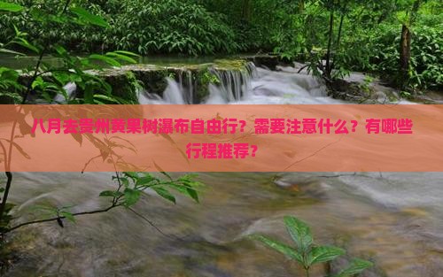 八月到贵州黄果树瀑布自由团