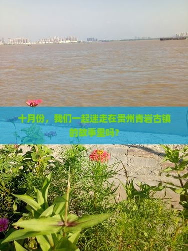 十月去贵州青岩古镇自由团