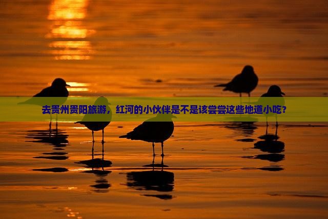 红河去贵州贵阳旅游小吃