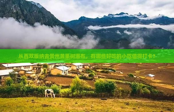 西双版纳到贵州黄果树瀑布旅游小吃