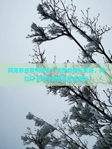 阿克苏去贵州景点