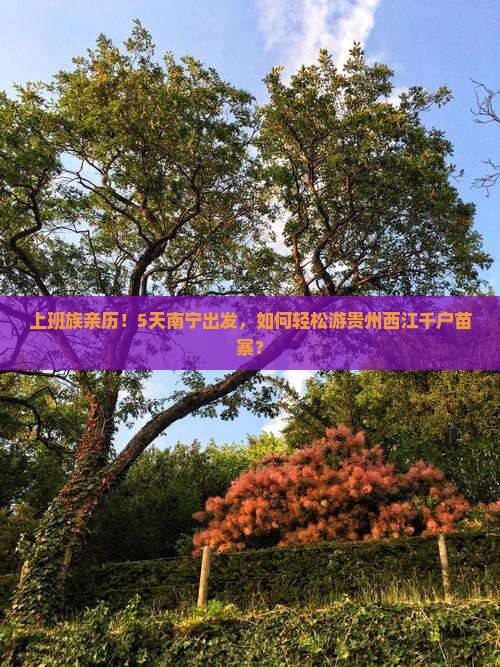 南宁到贵州西江千户苗寨个人游