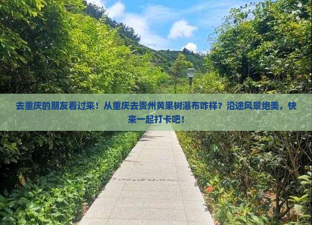 重庆去贵州黄果树瀑布景点