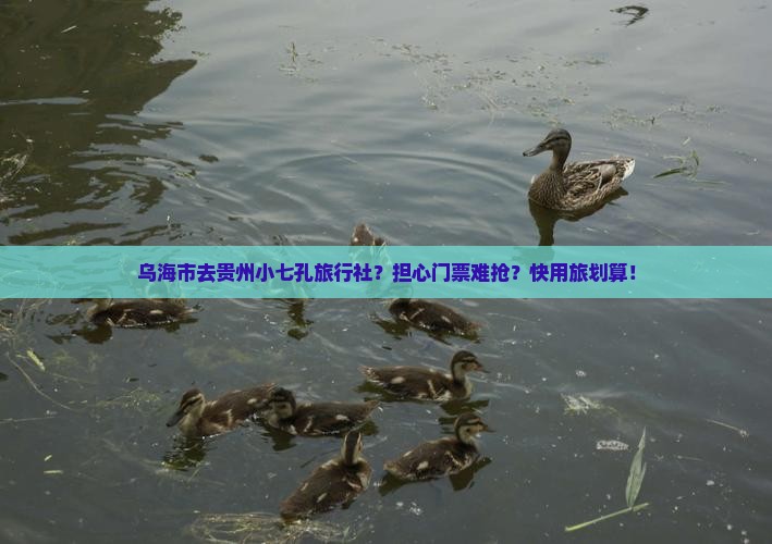 乌海市去贵州小七孔旅行社
