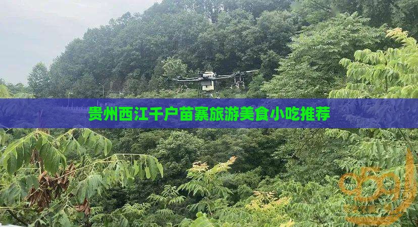 宜春去贵州西江千户苗寨旅游小吃