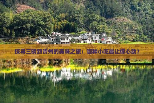 三明去贵州旅游小吃