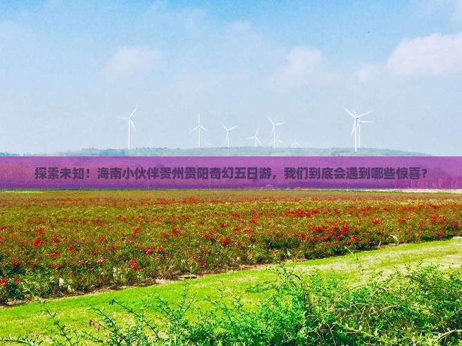 海南省直辖去贵州贵阳五日游