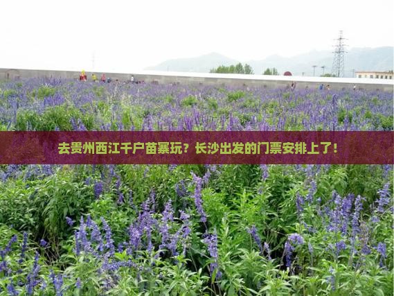 长沙去贵州西江千户苗寨门票