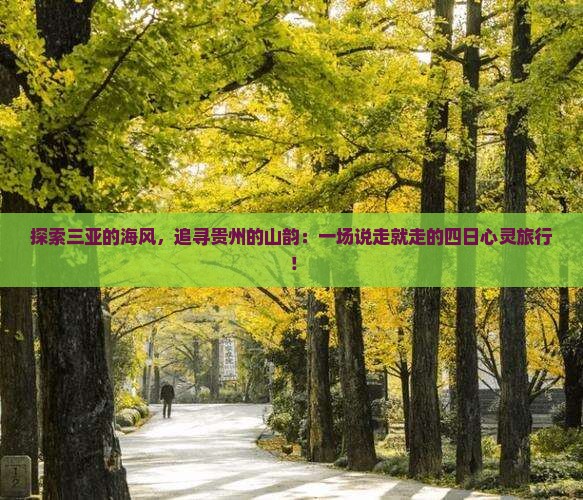 三亚到贵州四日游