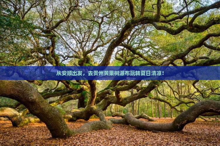 安顺到贵州黄果树瀑布攻略 安顺到贵州黄果树瀑布攻略