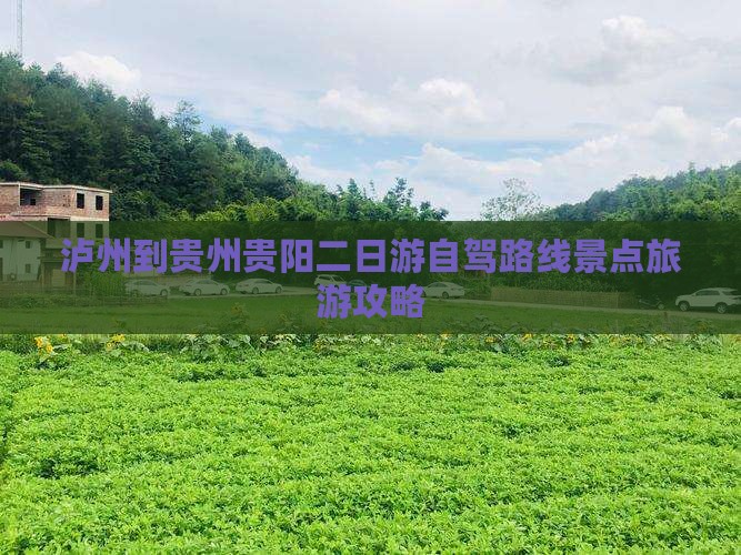 泸州到贵州贵阳二日游