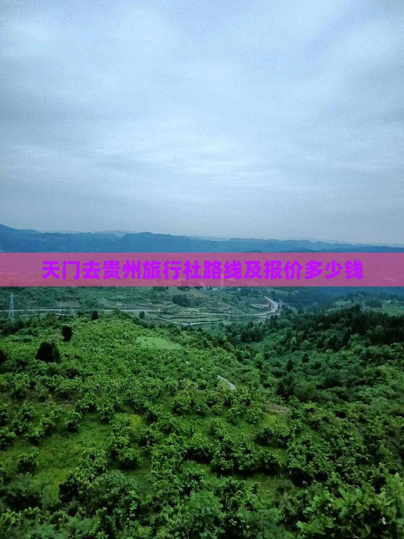 天门去贵州旅行社