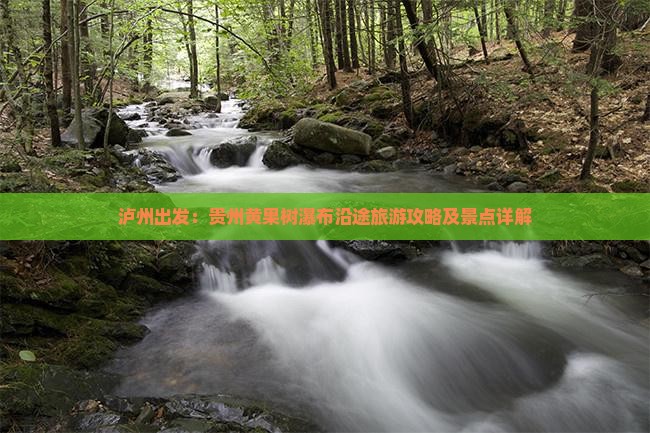 泸州去贵州黄果树瀑布景点