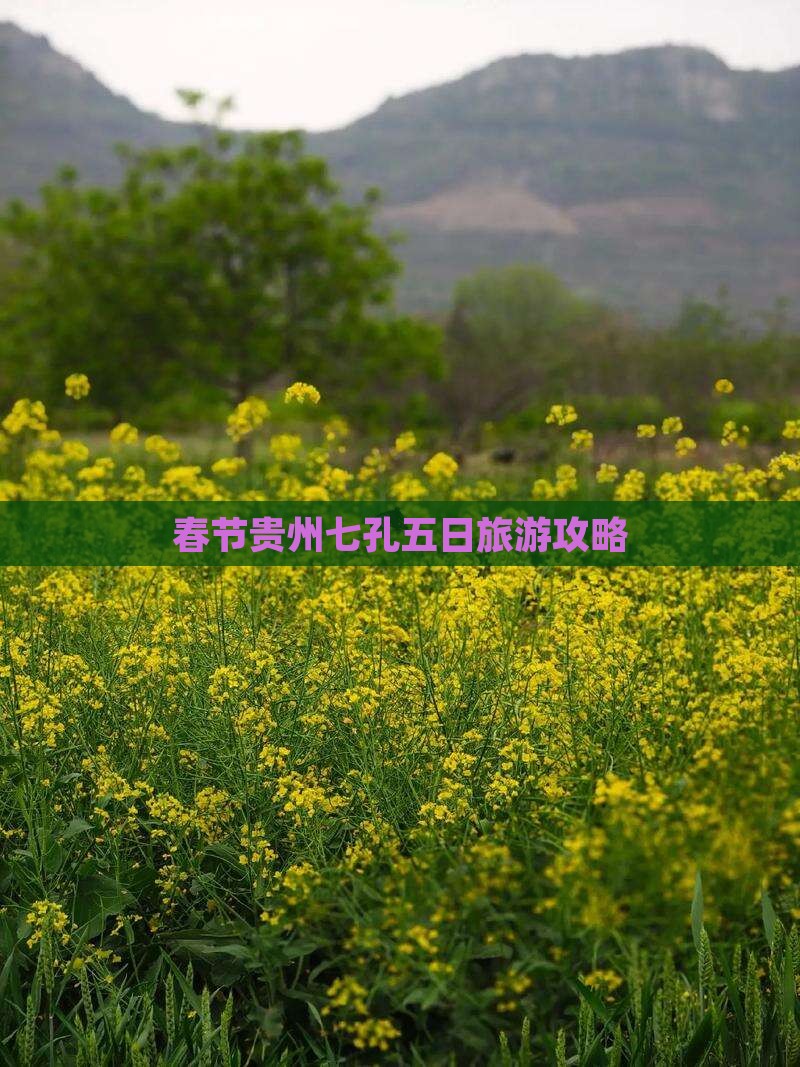 春节到贵州小七孔五日游