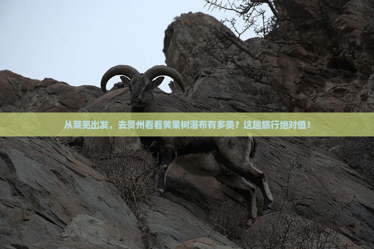 莱芜到贵州黄果树瀑布景点