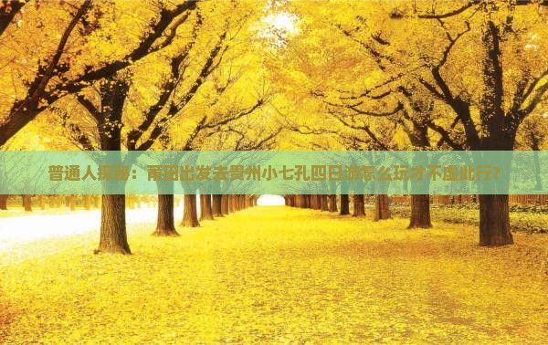 莆田到贵州小七孔四日游