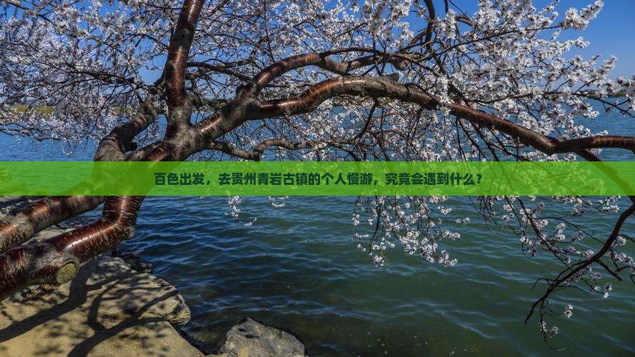 百色到贵州青岩古镇个人游