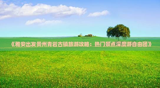 雅安去贵州青岩古镇自由团
