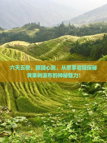 思茅到贵州黄果树瀑布六日游
