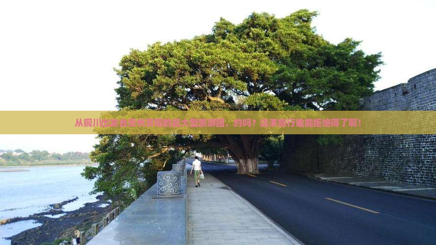 铜川到贵州贵阳大型旅游团