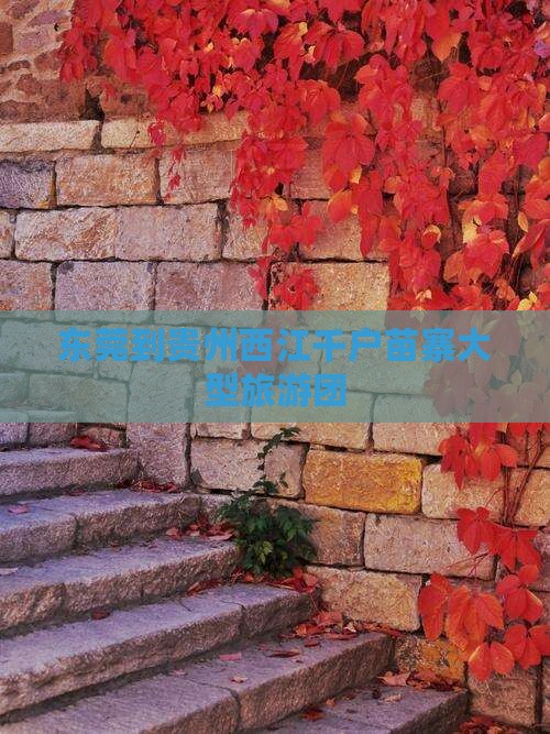 东莞去贵州西江千户苗寨大型旅游团