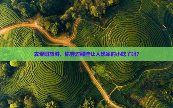 孝感到贵州贵阳旅游小吃