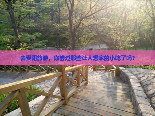 孝感到贵州贵阳旅游小吃