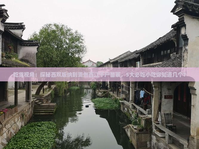 西双版纳去贵州西江千户苗寨旅游小吃