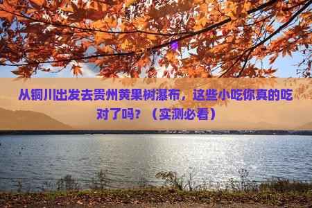 铜川去贵州黄果树瀑布旅游小吃