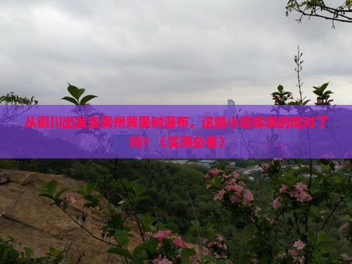 铜川去贵州黄果树瀑布旅游小吃