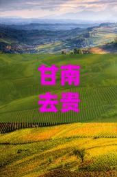 甘南去贵州自由行