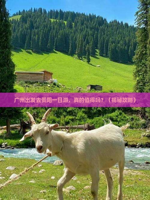 广州去贵州贵阳一日